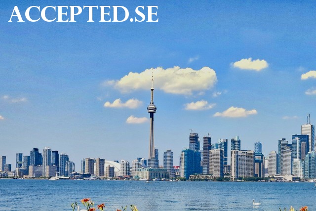 accepted bild