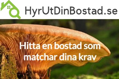 hyrutdinbostad bild