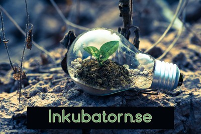 inkubatorn bild