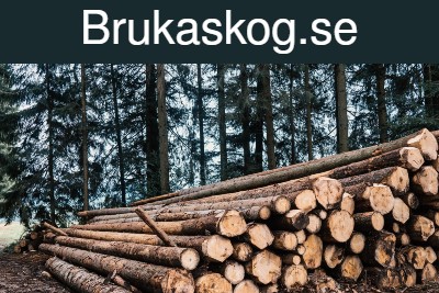 brukaskog.se - preview image
