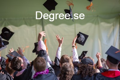 degree.se - preview image