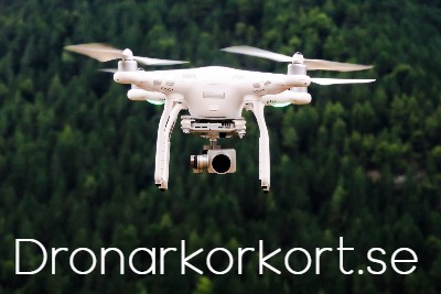 dronarkorkort.se - preview image