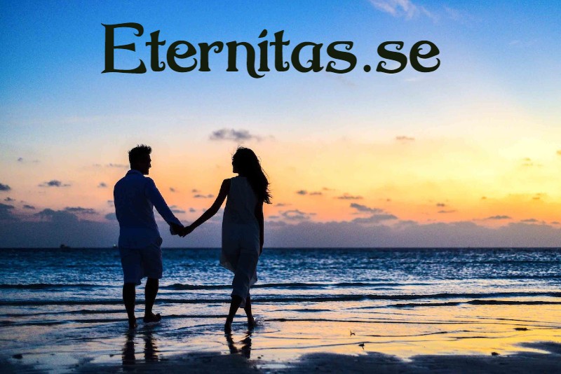 eternitas.se - preview image