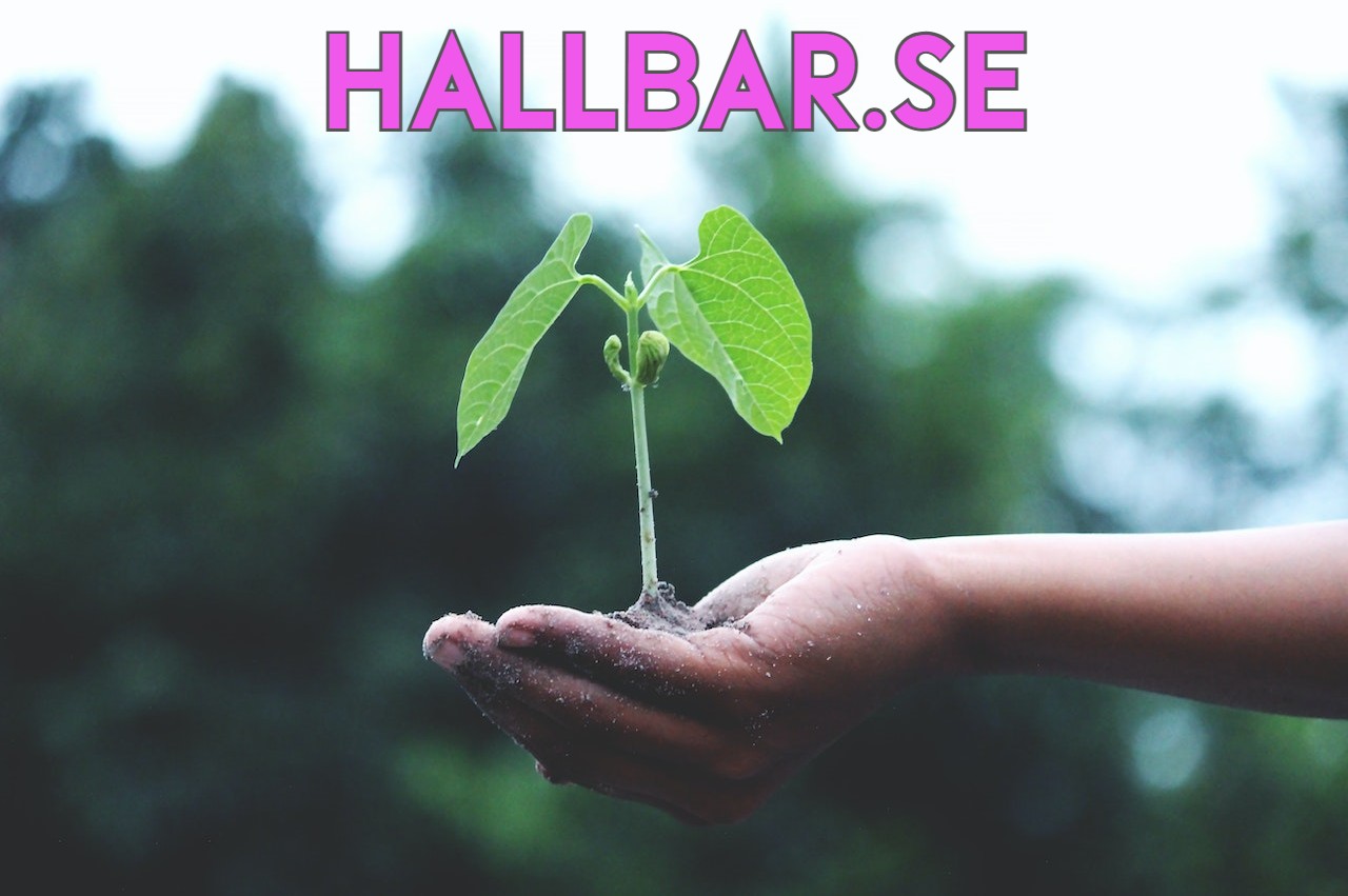 hallbar.se - preview image