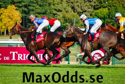 maxodds.se - preview image