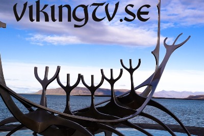 vikingtv.se - preview image
